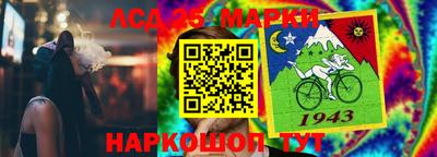 сатива Будённовск