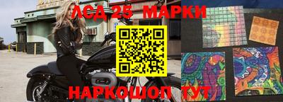 сатива Будённовск