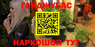 сатива Будённовск