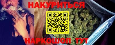 сатива Будённовск