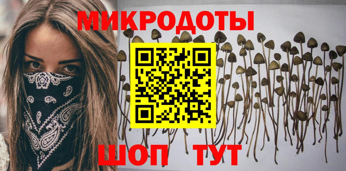 Псилоцибиновые грибы Psilocybine cubensis Алапаевск